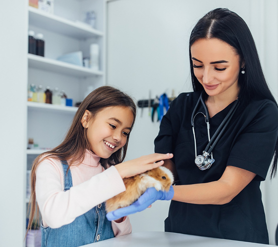 Hire One Heal One Impact